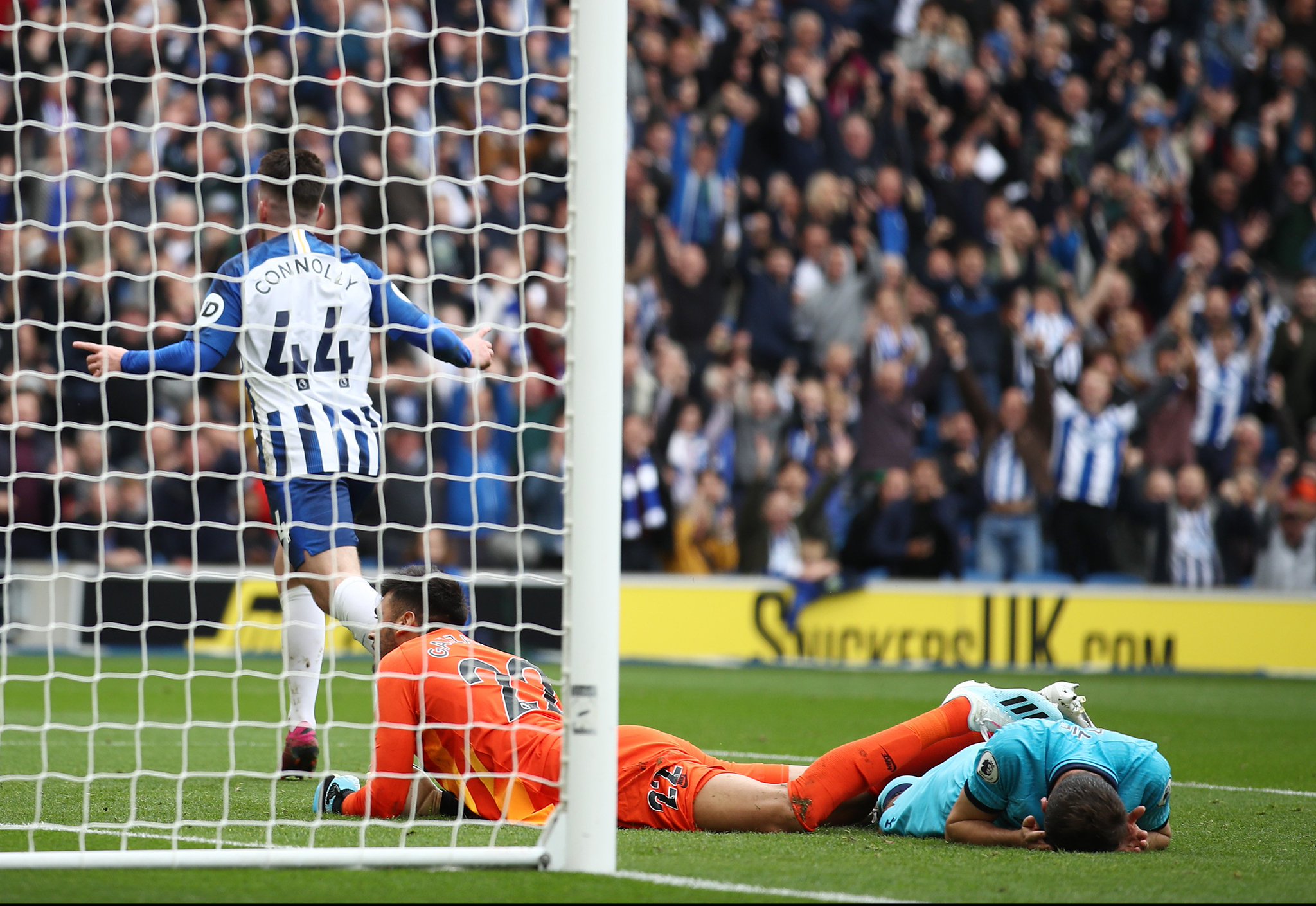 仅是比赛的 仅是比赛的