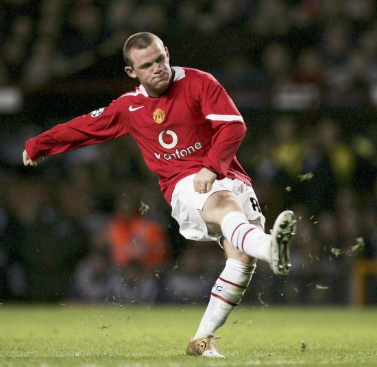 在專業的指 在專業的指